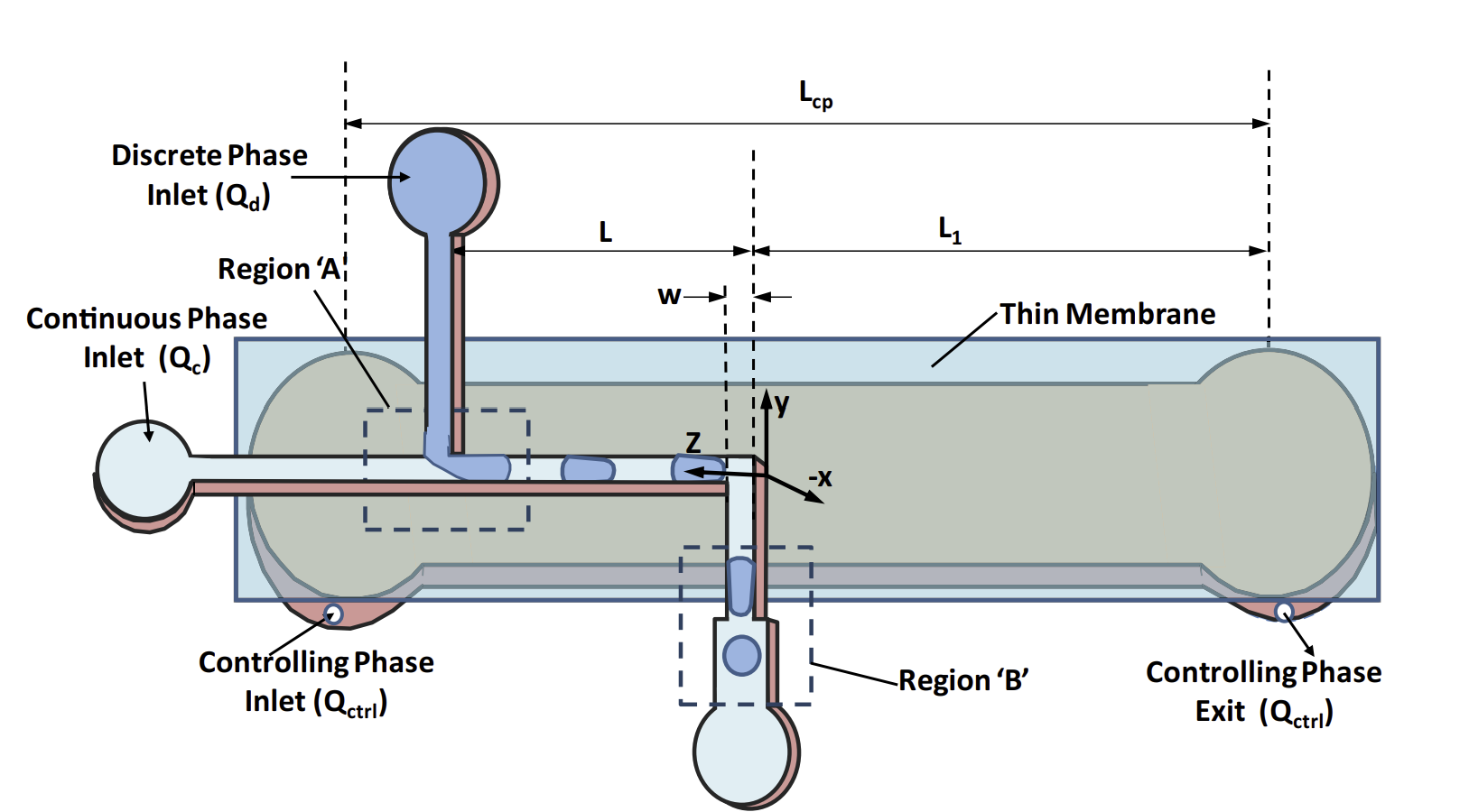 Droplet dynamics in a flexible microchannel